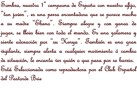 Sombra, nuestra 1 campeona de Espaa con nuestro afijo, tan joven, es una perra encantadora que se parece mucho a su madre Ebano. Siempre alegre y con ganas de jugar, se lleva bien con todo el mundo. Es una zalamera y siente adoracin por su Kenya. Tambin es una gran vigilante, siempre alerta a cualquier movimiento  cambio de situacin, le encanta ver quin o que pasa por se barrio. Est Seleccionada como reproductora por el Club Espaol del Pastorde Brie