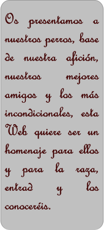 Os presentamos a nuestros perros, base de nuestra aficin, nuestros mejores amigos y los ms incondicionales, esta Web quiere ser un homenaje para ellos y para la raza, entrad y los conoceris.