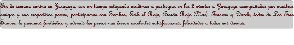 Fin de semana canino en Zaragoza, con un tiempo estupendo acudimos a participar en los 2 eventos a Zaragoza acompaados por nuestros amigos y sus respectivos perros, participamos con Sombra, Erik el Rojo, Barn Rojo (Nar), Trancos y Darek, todos de Los Tres Sauces, lo pasamos fantstico y adems los perros nos dieron excelentes satisfacciones, felicidades a todos sus dueos.