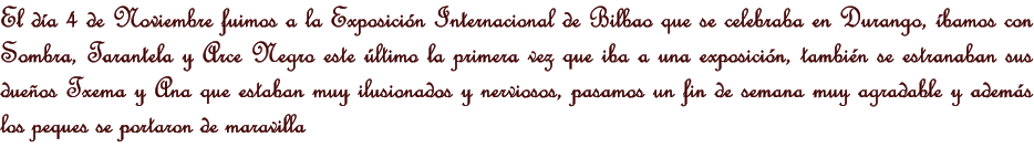 El da 4 de Noviembre fuimos a la Exposicin Internacional de Bilbao que se celebraba en Durango, bamos con Sombra, Tarantela y Arce Negro este ltimo la primera vez que iba a una exposicin, tambin se estranaban sus dueos Txema y Ana que estaban muy ilusionados y nerviosos, pasamos un fin de semana muy agradable y adems los peques se portaron de maravilla