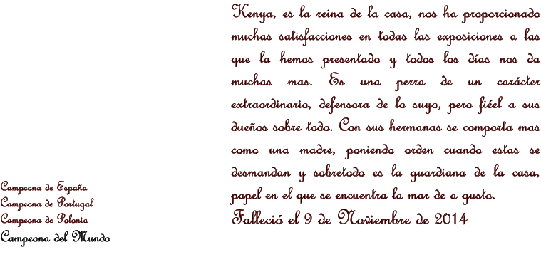 Kenya, es la reina de la casa, nos ha proporcionado muchas satisfacciones en todas las exposiciones a las que la hemos presentado y todos los das nos da muchas mas. Es una perra de un carcter extraordinario, defensora de lo suyo, pero fiel a sus dueos sobre todo. Con sus hermanas se comporta mas como una madre, poniendo orden cuando estas se desmandan y sobretodo es la guardiana de la casa, papel en el que se encuentra la mar de a gusto.  Falleci el 9 de Noviembre de 2014 Campeona de Espaa Campeona de Portugal Campeona de Polonia Campeona del Mundo