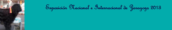 Exposición Nacional e Internacional de Zaragoza 2013