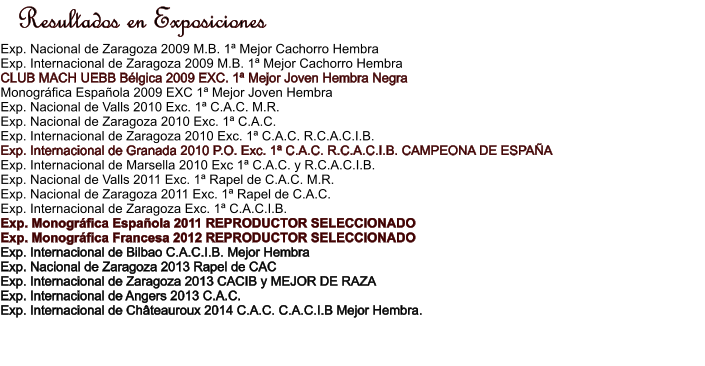 Resultados en Exposiciones Exp. Nacional de Zaragoza 2009 M.B. 1 Mejor Cachorro Hembra Exp. Internacional de Zaragoza 2009 M.B. 1 Mejor Cachorro Hembra CLUB MACH UEBB Blgica 2009 EXC. 1 Mejor Joven Hembra Negra Monogrfica Espaola 2009 EXC 1 Mejor Joven Hembra Exp. Nacional de Valls 2010 Exc. 1 C.A.C. M.R. Exp. Nacional de Zaragoza 2010 Exc. 1 C.A.C. Exp. Internacional de Zaragoza 2010 Exc. 1 C.A.C. R.C.A.C.I.B. Exp. Internacional de Granada 2010 P.O. Exc. 1 C.A.C. R.C.A.C.I.B. CAMPEONA DE ESPAA Exp. Internacional de Marsella 2010 Exc 1 C.A.C. y R.C.A.C.I.B. Exp. Nacional de Valls 2011 Exc. 1 Rapel de C.A.C. M.R. Exp. Nacional de Zaragoza 2011 Exc. 1 Rapel de C.A.C. Exp. Internacional de Zaragoza Exc. 1 C.A.C.I.B. Exp. Monogrfica Espaola 2011 REPRODUCTOR SELECCIONADO Exp. Monogrfica Francesa 2012 REPRODUCTOR SELECCIONADO Exp. Internacional de Bilbao C.A.C.I.B. Mejor Hembra Exp. Nacional de Zaragoza 2013 Rapel de CAC Exp. Internacional de Zaragoza 2013 CACIB y MEJOR DE RAZA Exp. Internacional de Angers 2013 C.A.C. Exp. Internacional de Chteauroux 2014 C.A.C. C.A.C.I.B Mejor Hembra.