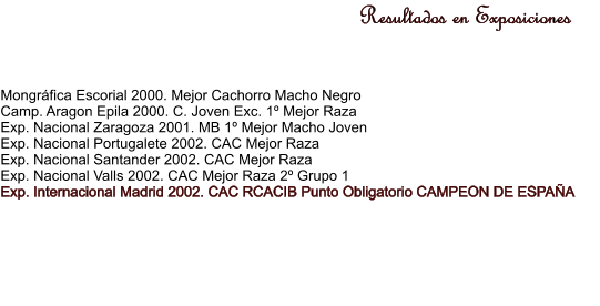 Resultados en Exposiciones Mongrfica Escorial 2000. Mejor Cachorro Macho Negro Camp. Aragon Epila 2000. C. Joven Exc. 1 Mejor Raza Exp. Nacional Zaragoza 2001. MB 1 Mejor Macho Joven Exp. Nacional Portugalete 2002. CAC Mejor Raza Exp. Nacional Santander 2002. CAC Mejor Raza Exp. Nacional Valls 2002. CAC Mejor Raza 2 Grupo 1 Exp. Internacional Madrid 2002. CAC RCACIB Punto Obligatorio CAMPEON DE ESPAA